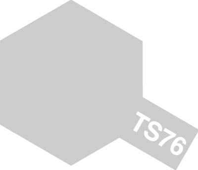 TS-76 Mica Silver