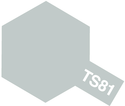 TS81 British Navy Gray 100ml