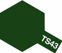 TS-43 Racing Green Scale 100ml
