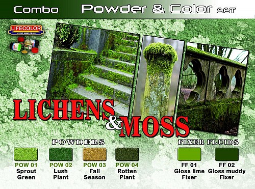 Lichens & Moss