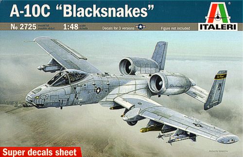 Fairchild A-10C Blacksnakes