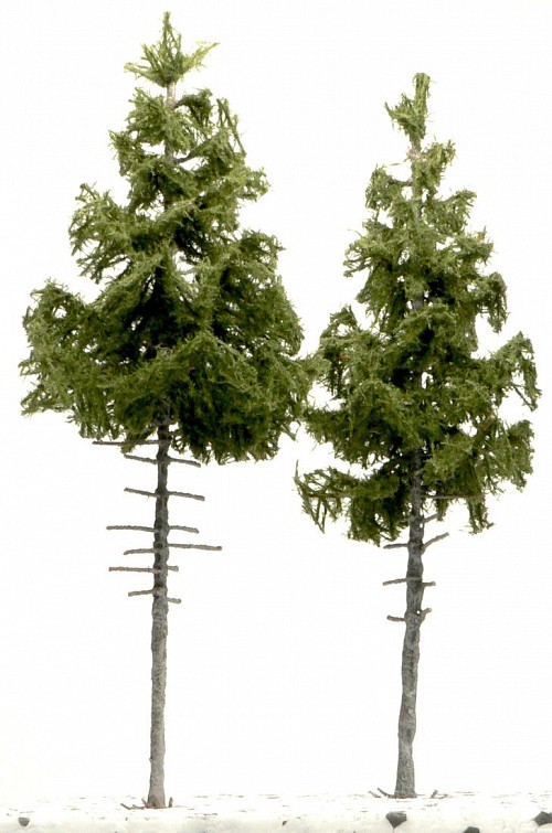 Pine 18 cm 2pcs