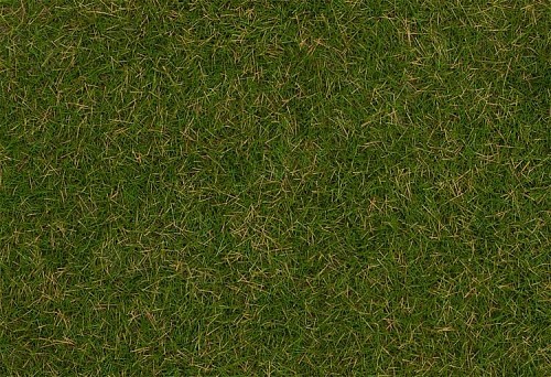 Wild grass ground cover fibres, Summer lawn 4mm, 30g